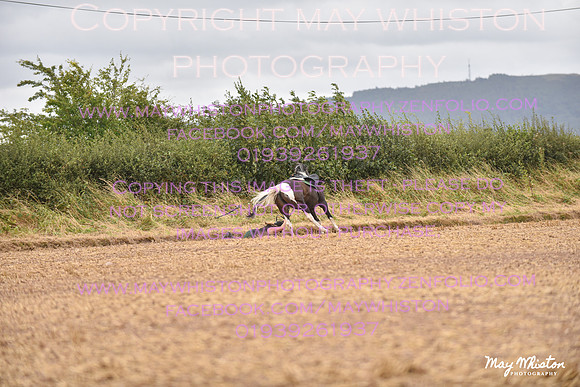 MAY_4654