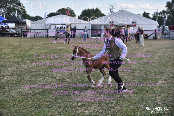 MAY_6517