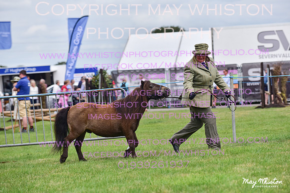 MAY_3591