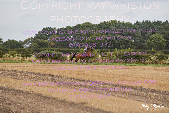 MAY_7540