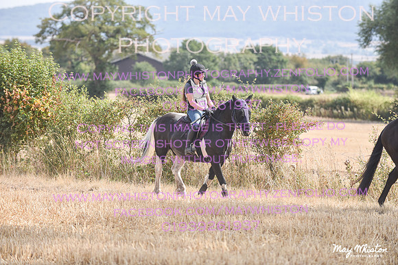MAY_7971