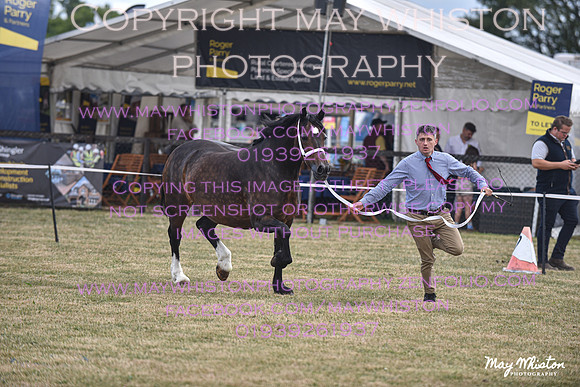 MAY_6786