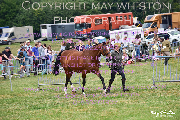 MAY_3672