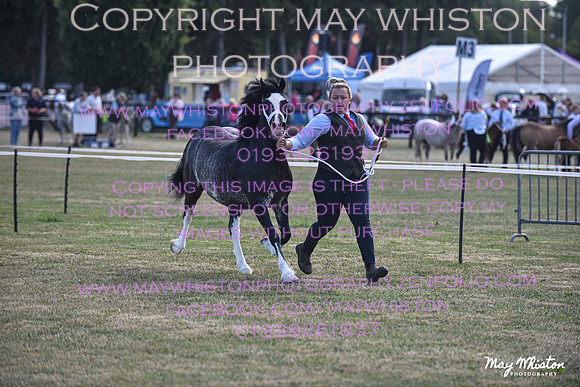 MAY_6533