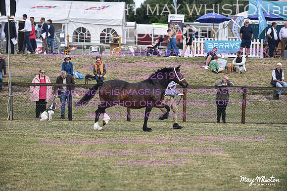 MAY_6784
