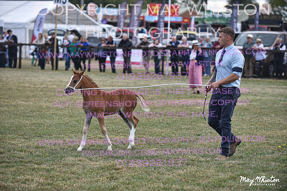 MAY_6905