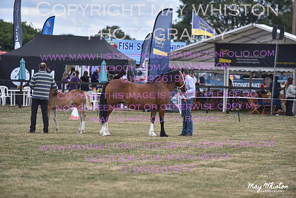 MAY_6884