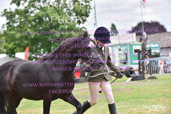 MAY_3643