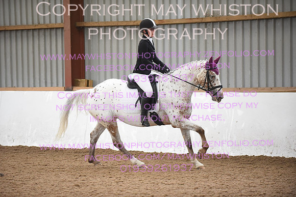lrg_DSC_5342