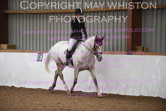 lrg_DSC_5338