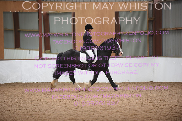 lrg_DSC_5300