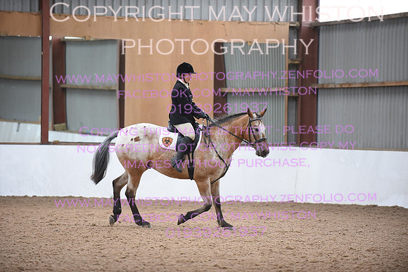 lrg_DSC_5273