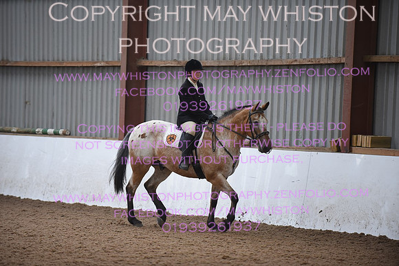 lrg_DSC_5274