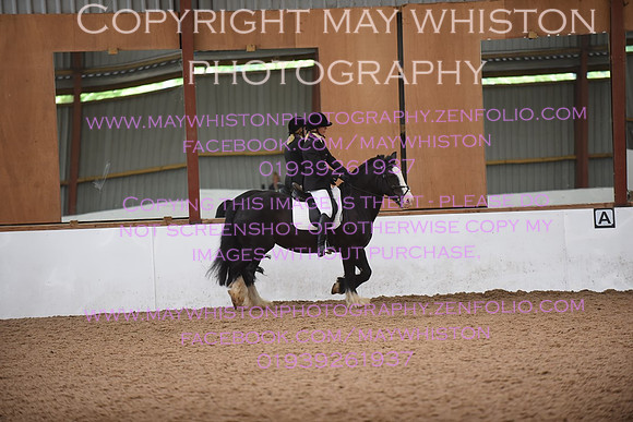 lrg_DSC_5298