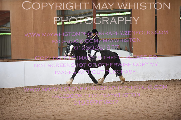 lrg_DSC_5302