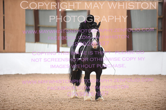lrg_DSC_5312