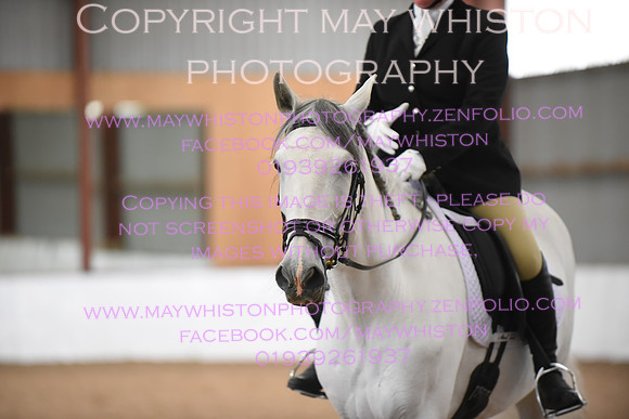 lrg_DSC_5101