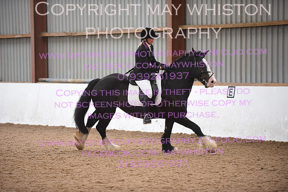 lrg_DSC_5311