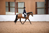 Radfords Dressage 2/6/19