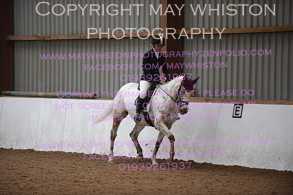 lrg_DSC_5336