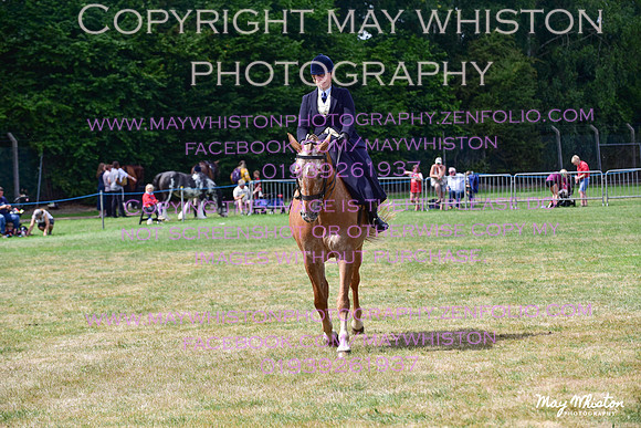 MAY_3951