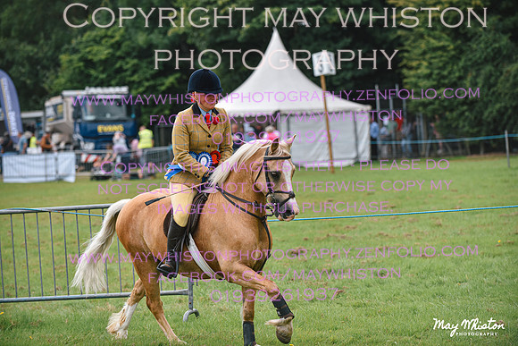 MAY_3401