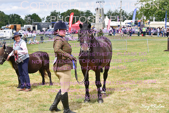 MAY_3798