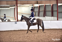 Prelim & Novice