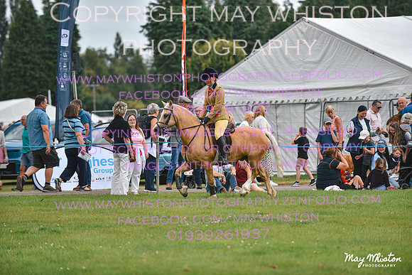 MAY_3355