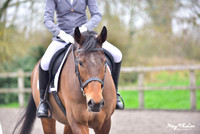 Radfords Quest & Unaffiliated Dressage 7/3/26
