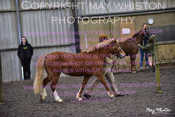 MAY_2935