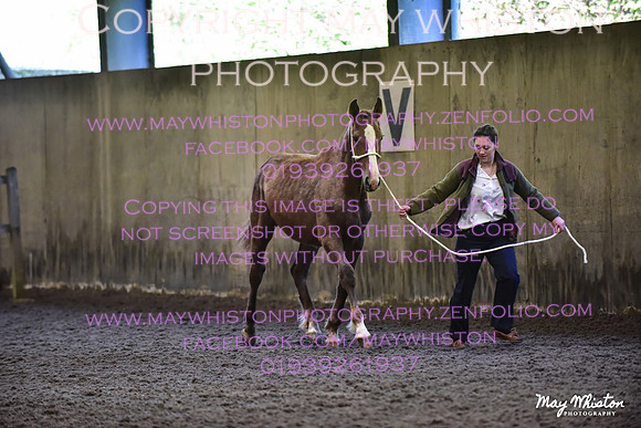 MAY_2955