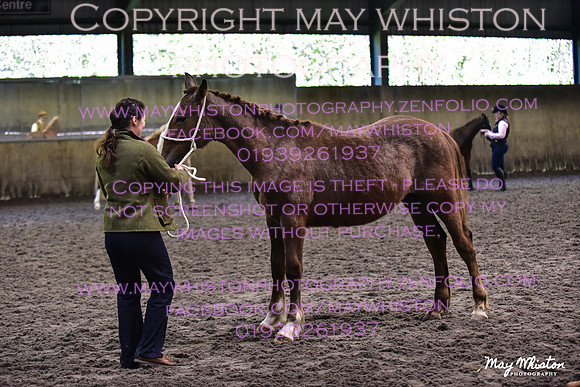 MAY_2986
