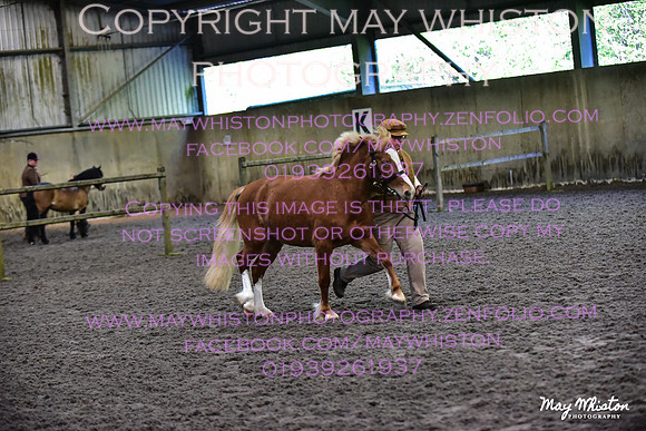 MAY_3003