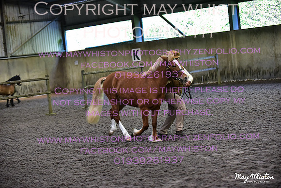 MAY_3004