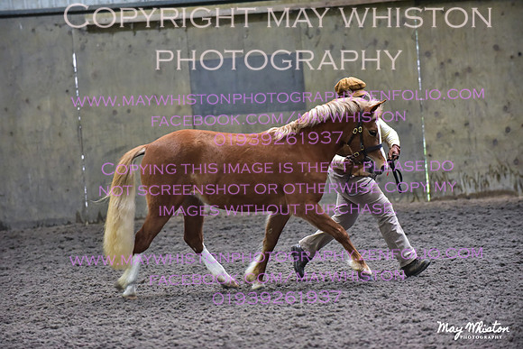 MAY_3008