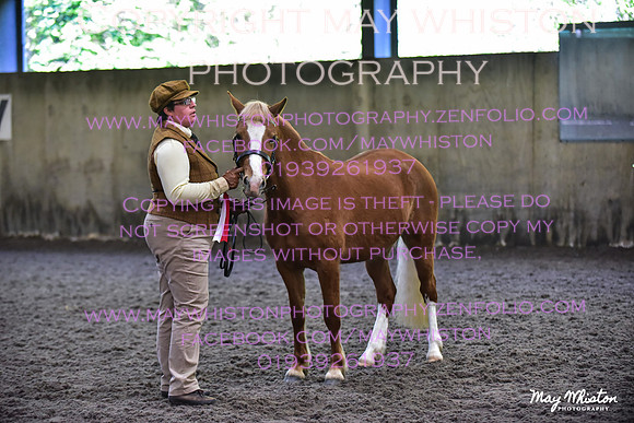 MAY_3027