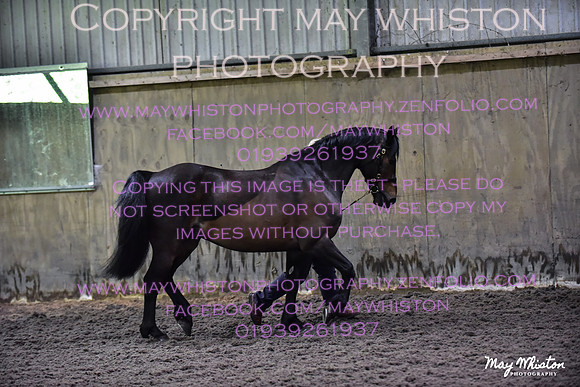MAY_3066