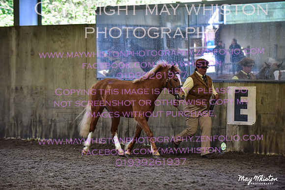 MAY_3161