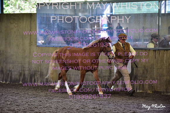 MAY_3163