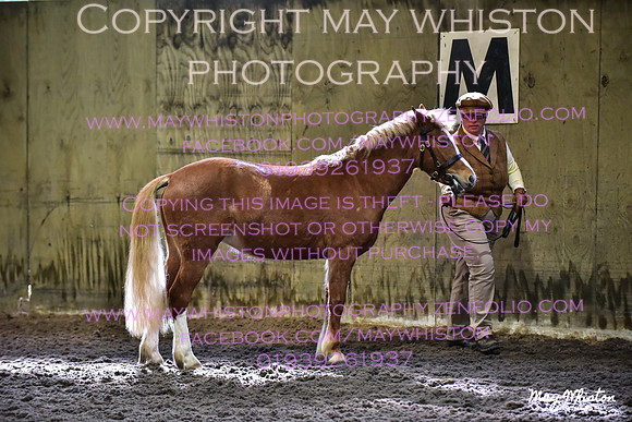 MAY_3173