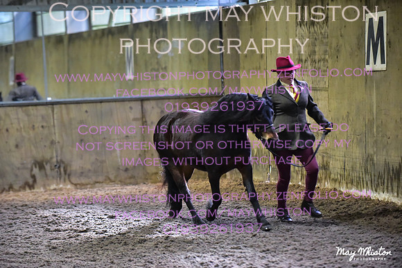 MAY_3281