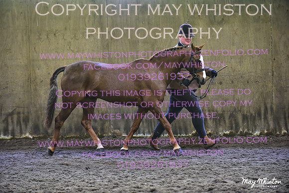 MAY_3386