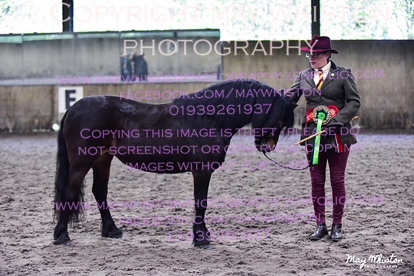 MAY_3504