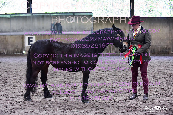MAY_3506