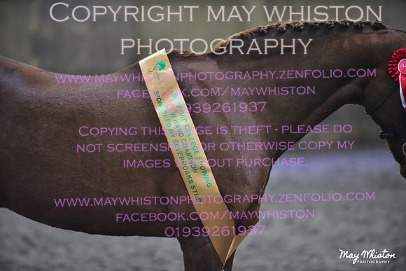 MAY_3526