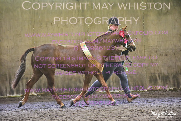 MAY_3537
