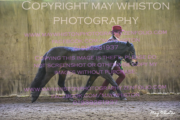 MAY_3544