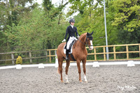 FEI Intermediate 1