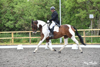 FEI Prix st Georges